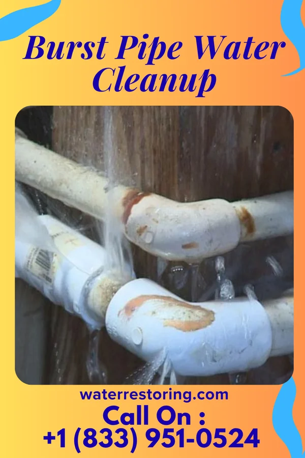 Burst Pipe Water Cleanup in Souderton, PA