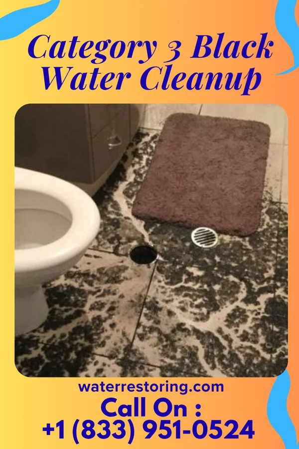 Category 3 Black Water Cleanup in Souderton, PA
