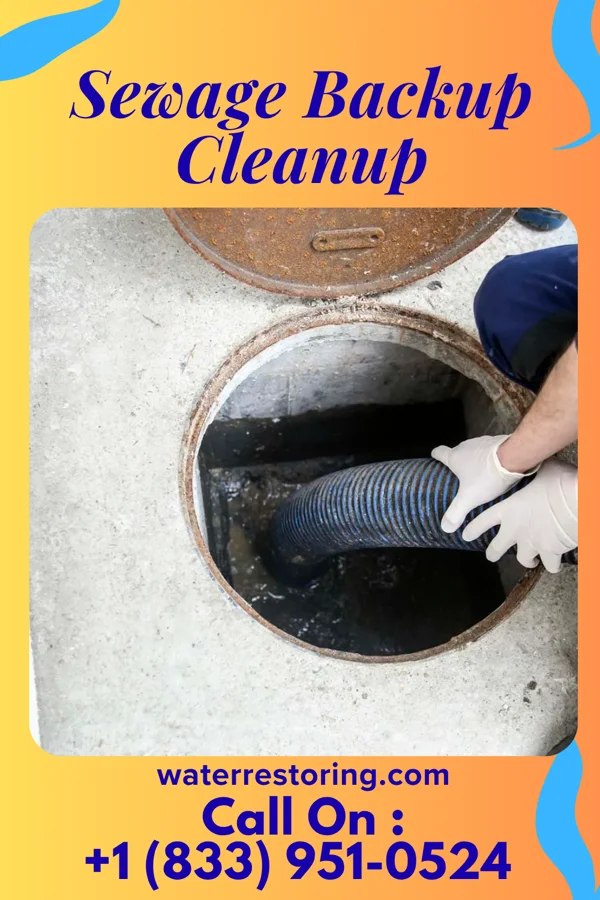 Sewage Backup Cleanup in Souderton, PA